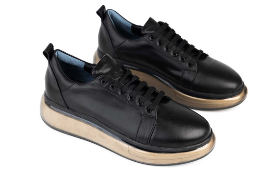 Men's shoes genuine leather ARISTOCRAT 2953 N box