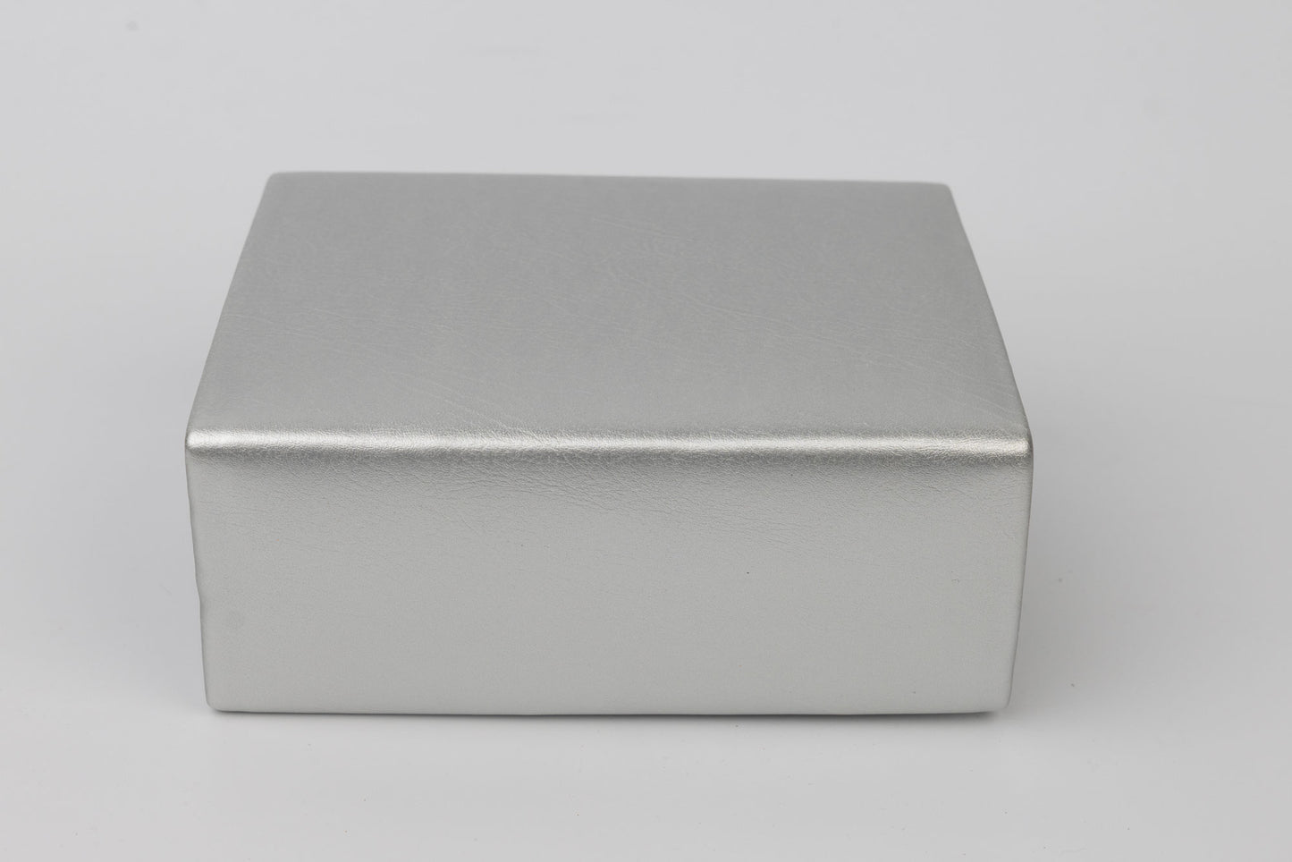 NIRVANA 300 Silver Purse