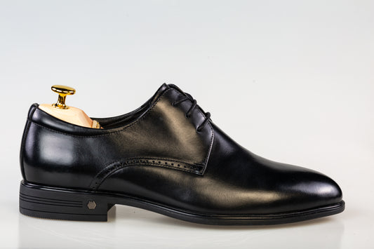 Men's elegant genuine leather shoes ELDEMAS 066-020 black