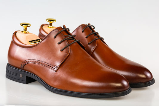 Pantofi barbati eleganti piele naturala ELDEMAS 066-020 maro