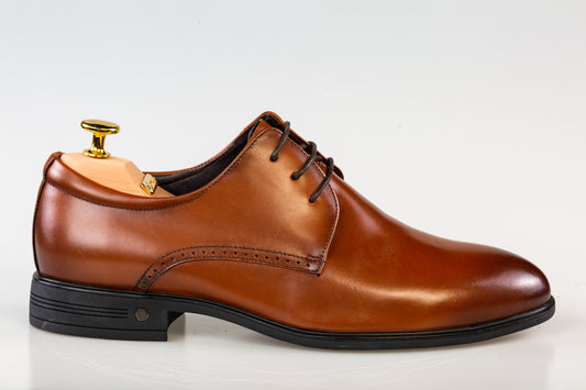 Pantofi barbati eleganti piele naturala ELDEMAS 066-020 maro
